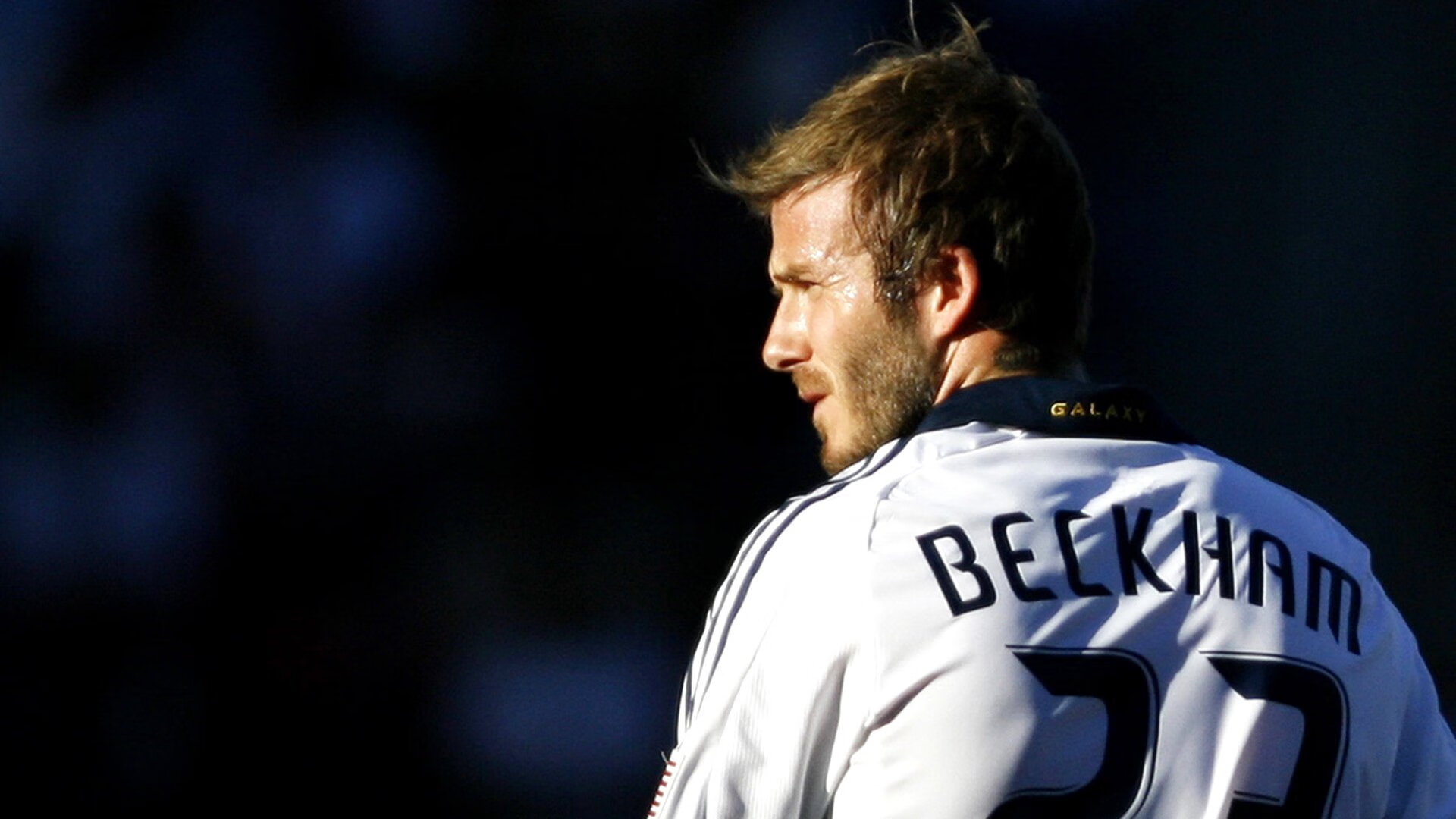 德约科维奇迎来五赛季高光表现，C9球迷沸腾！